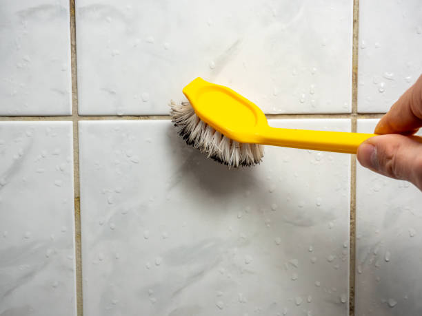 Best Black Mold Removal  in Leonardo, NJ