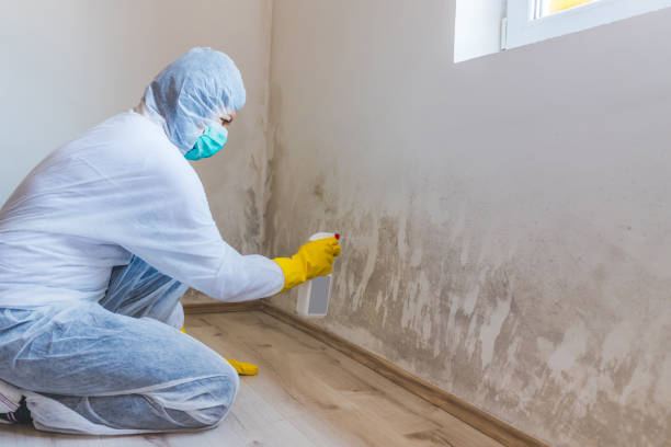 Best Crawl Space Mold Removal  in Leonardo, NJ