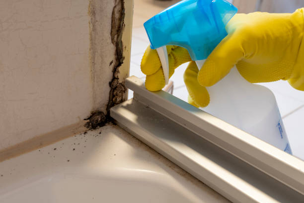 Best Water Damage Restoration  in Leonardo, NJ