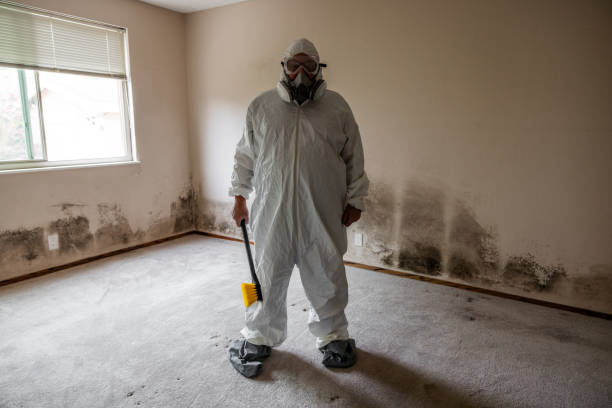 Best Affordable Mold Removal  in Leonardo, NJ
